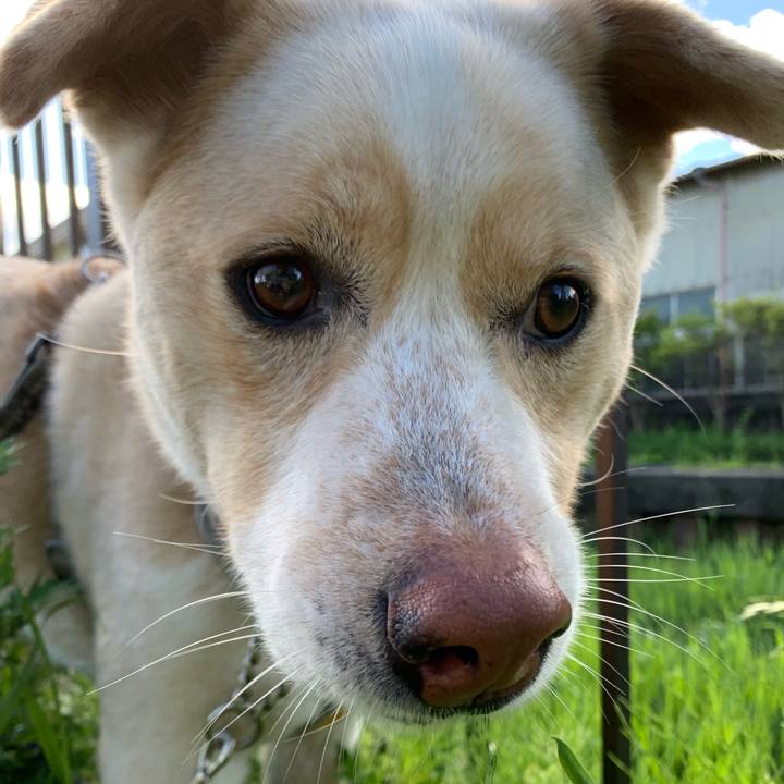 30c20e5d 64b4 467e b733 d92b019b3c8e 1556322886526