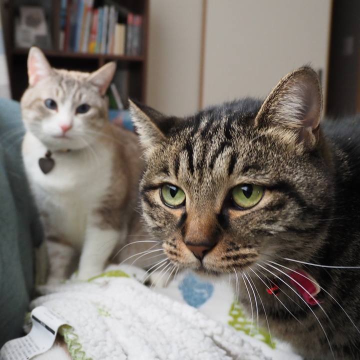 30c21ffb d8e9 4e6c ac6b 99bee619ec86 1607256124357