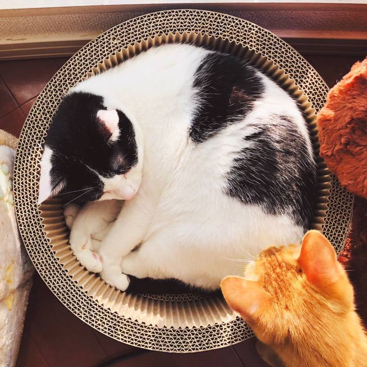 30c23f34 18c4 46e4 b983 91318510430f 1573367652954