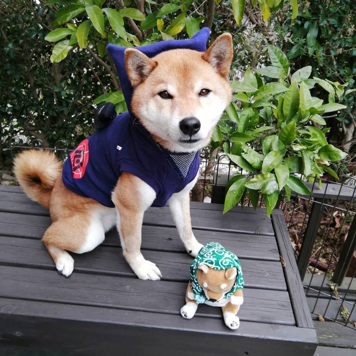 30c25166 d7bc 4449 b4a2 92c40e6b4395 1582345783665