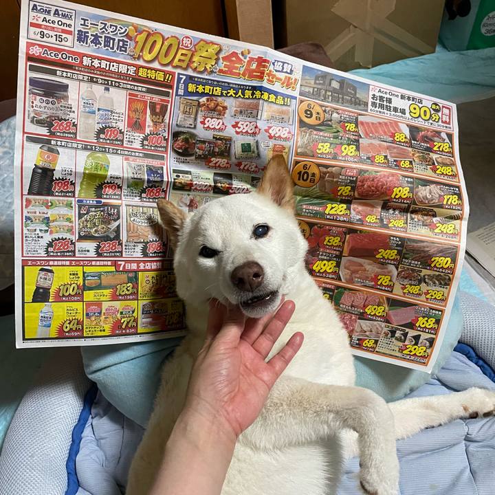 30c26a50 4e7c 4c9a a99b 18c4d4725ffa 1654878133654