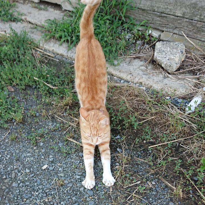 30c2aa09 9562 4faa 8630 5bb17dbda9fd 1562231525179