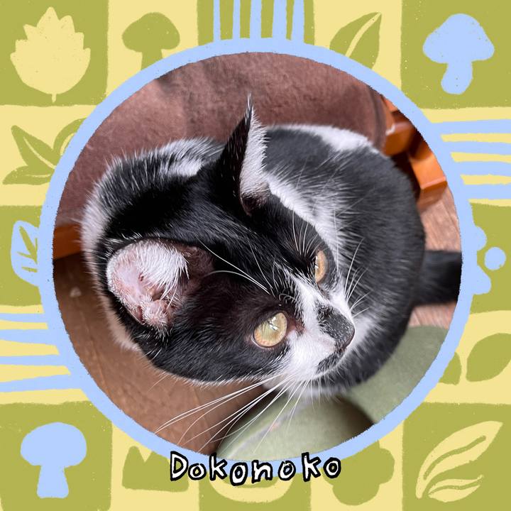 30c2ee6b 317b 4c89 aa9d 3ba08a67a638 1761977917362