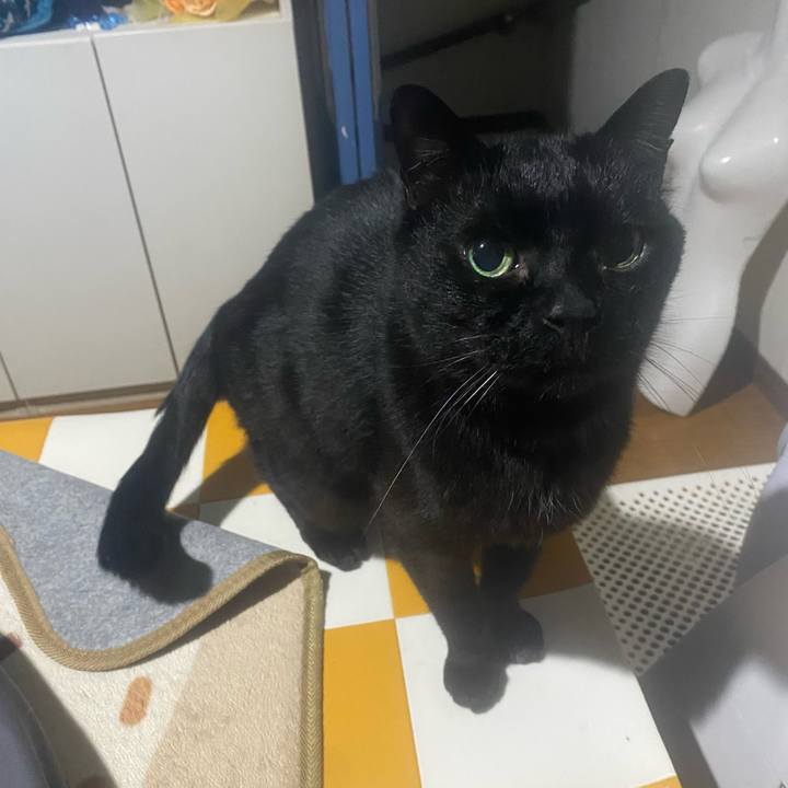 30c2fd91 1016 4180 a473 f61cebb6726b 1774536356285