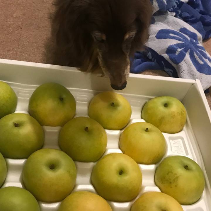 30c300c1 ab87 4259 ba54 5bf05b45f32d 1568203162961