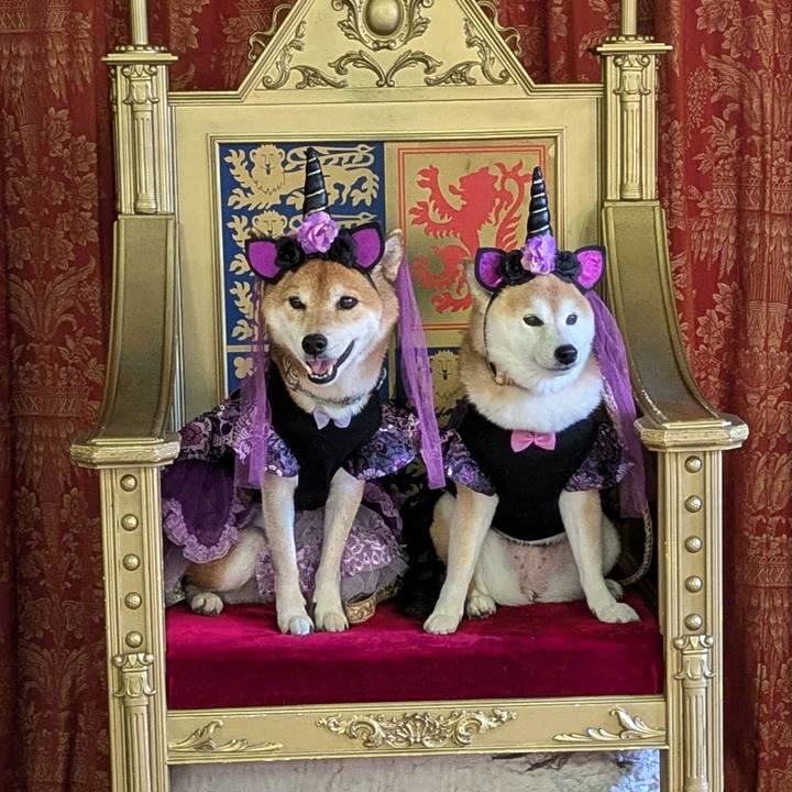 30c3034a fbb8 472b be6b 80769baff76a 1727704844095