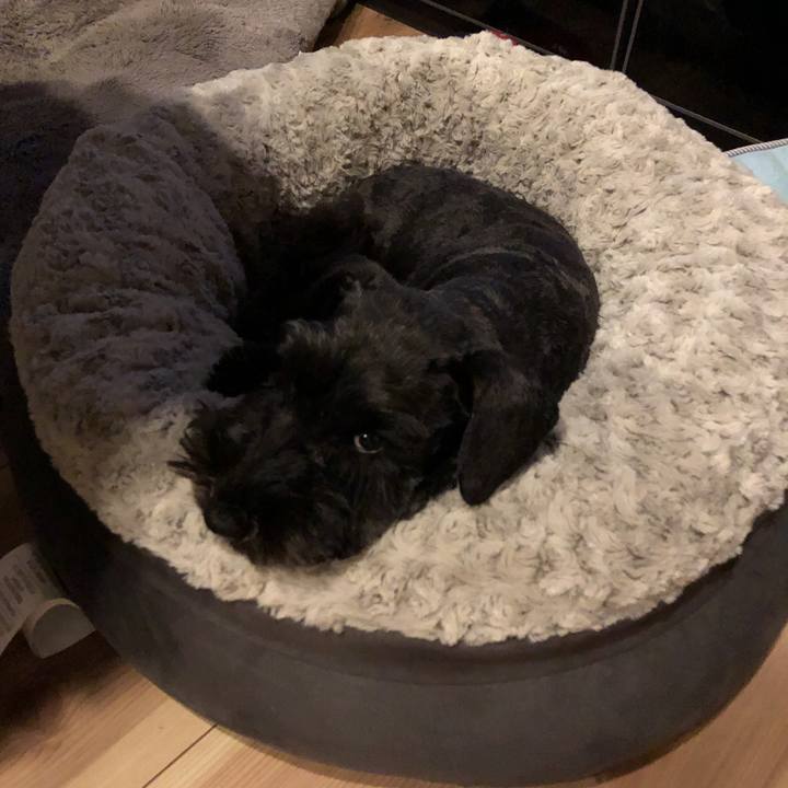 30c3349c ae27 4234 bc6c ef5889dd2164 1542535022691