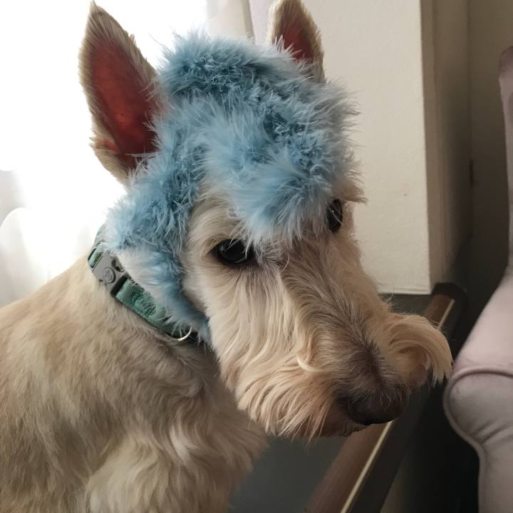 30c33524 6805 4485 84f0 4f890f3c7beb 1569201190001