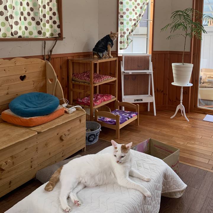 30c33fa8 bf5f 45a8 b3d4 53296084caa2 1654117632329