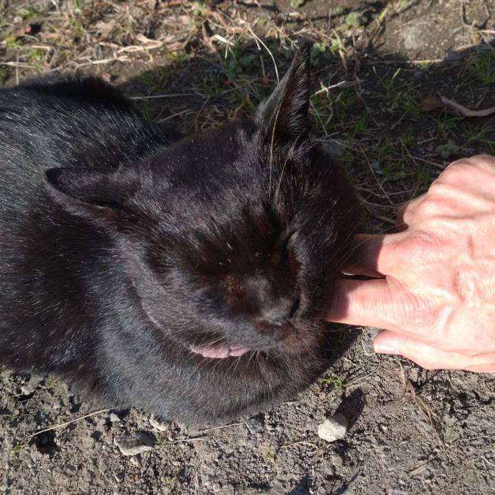 30c34796 5f19 4965 b460 de299a77e7a6 1733207342312