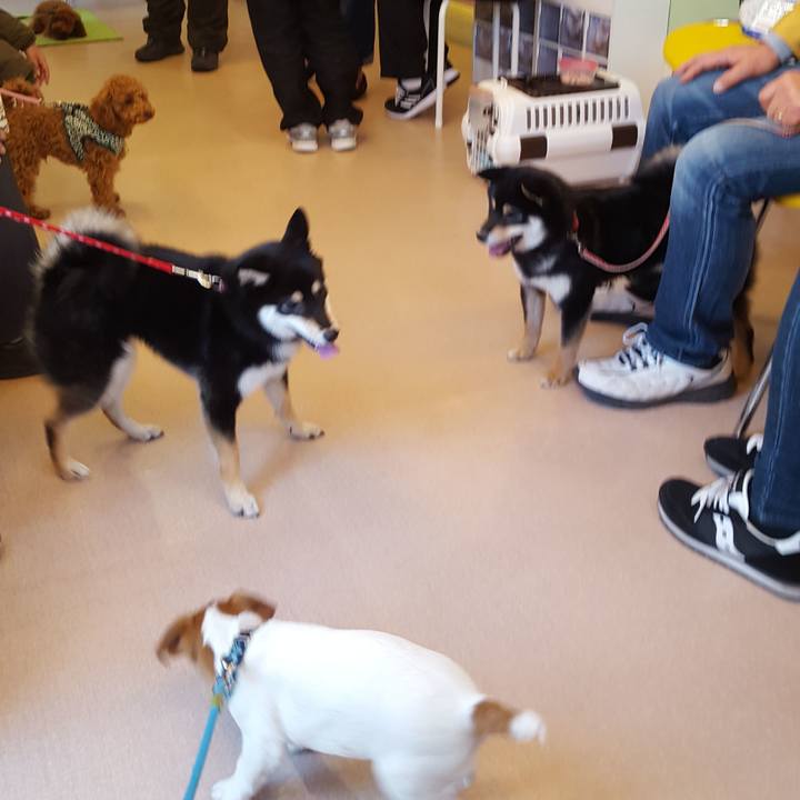 30c354a6 0db7 4522 8a40 030178ccc589 1551512662718