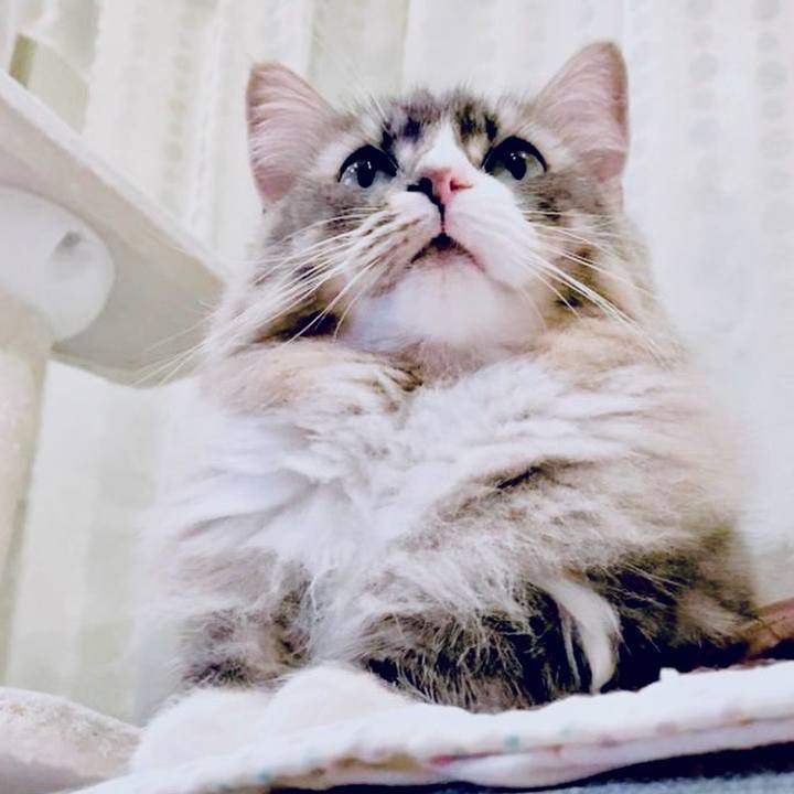 30c35ac1 e65f 4a14 80d7 7dd5835614ef 1764774104374