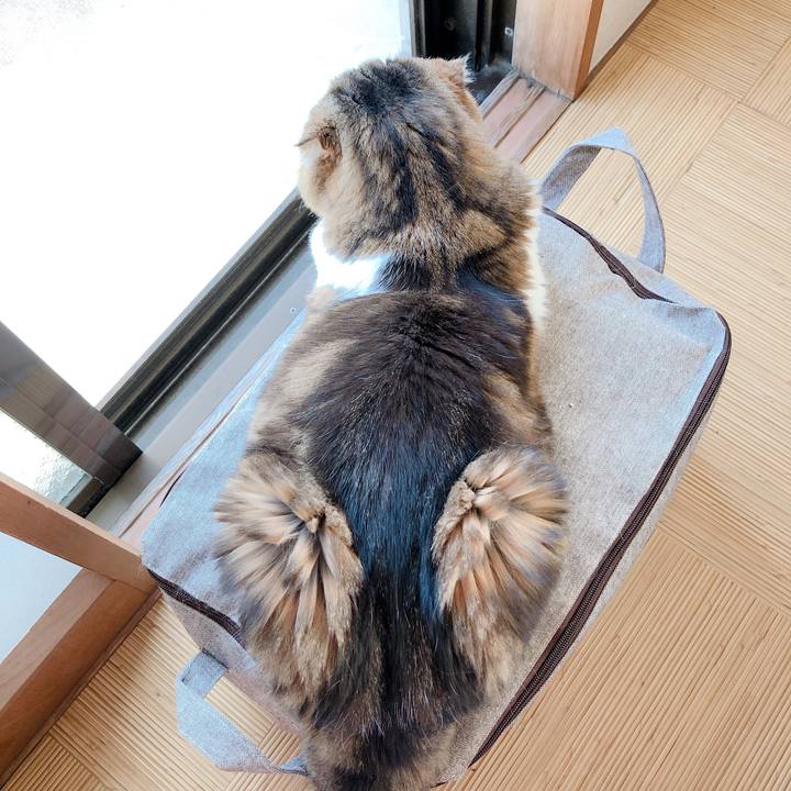 30c389f9 7214 4e20 bc46 35839dd57273 1560461407690