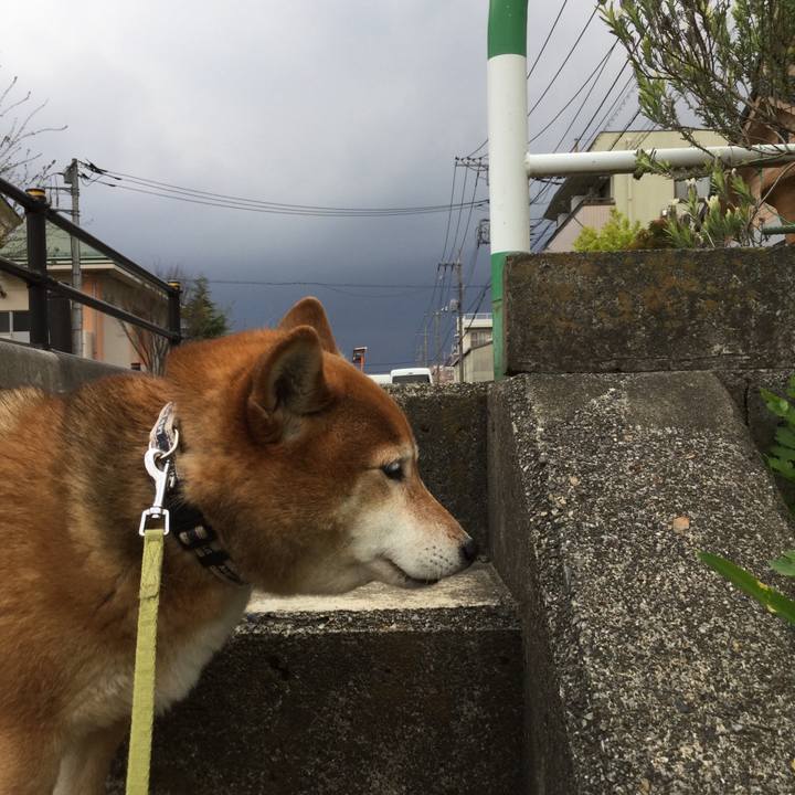 30c3d744 0503 4e2a 884c e3541d1527a9 1586421012356