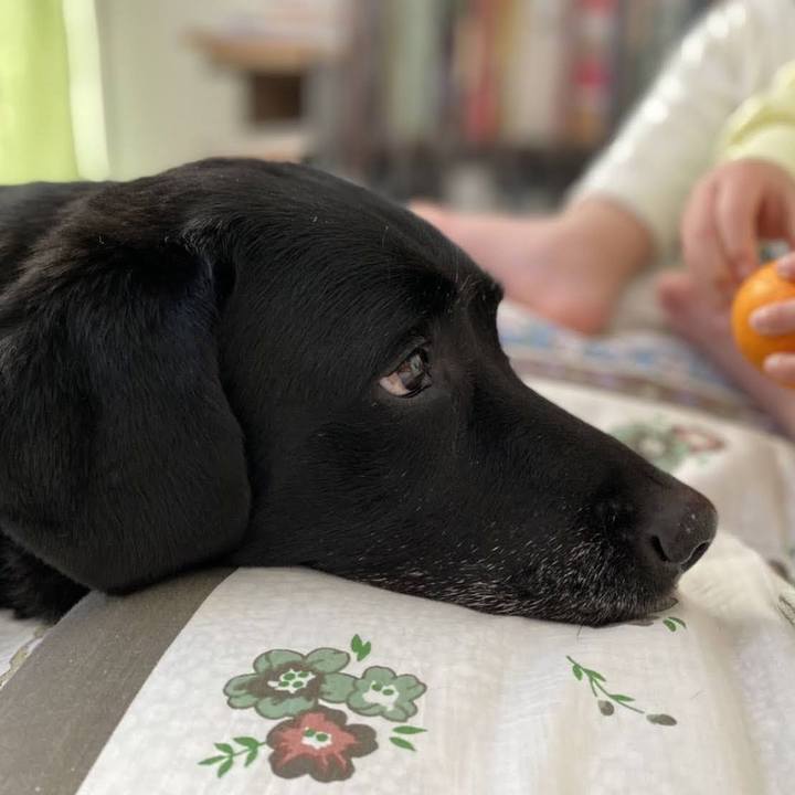 30c3f670 250e 4e0d 9b0a 7fe765deb57b 1691805176549