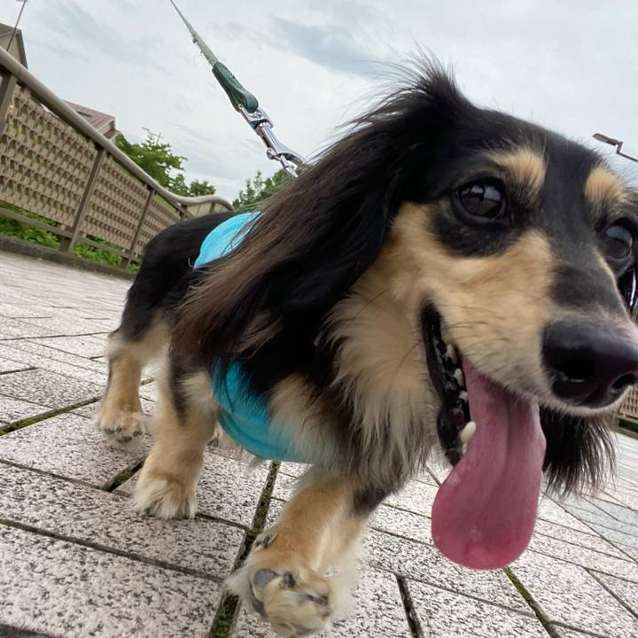 30c414c1 c861 4bae a0cc 1455d237dbda 1719751269457