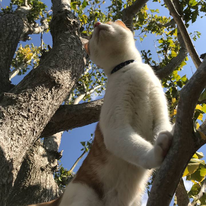 30c41fda 8bac 4a17 b7b3 bd0de63d7f9a 1509416643097