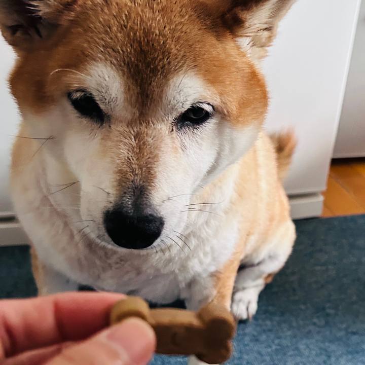 30c4227a 08ef 4dce 8fa1 1505e3e20bf9 1727220128436