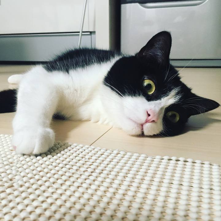 30c44d4c f44d 4ce8 a833 cb5fe1ce7a14 1593764773544