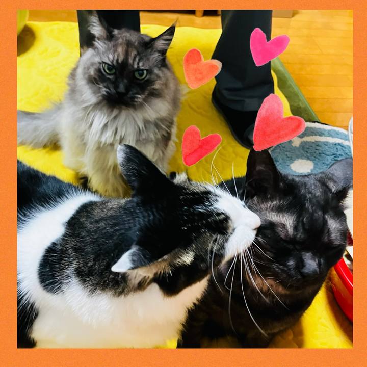 30c49e84 25f0 41a9 bcc0 afa28352a42b 1742429341536