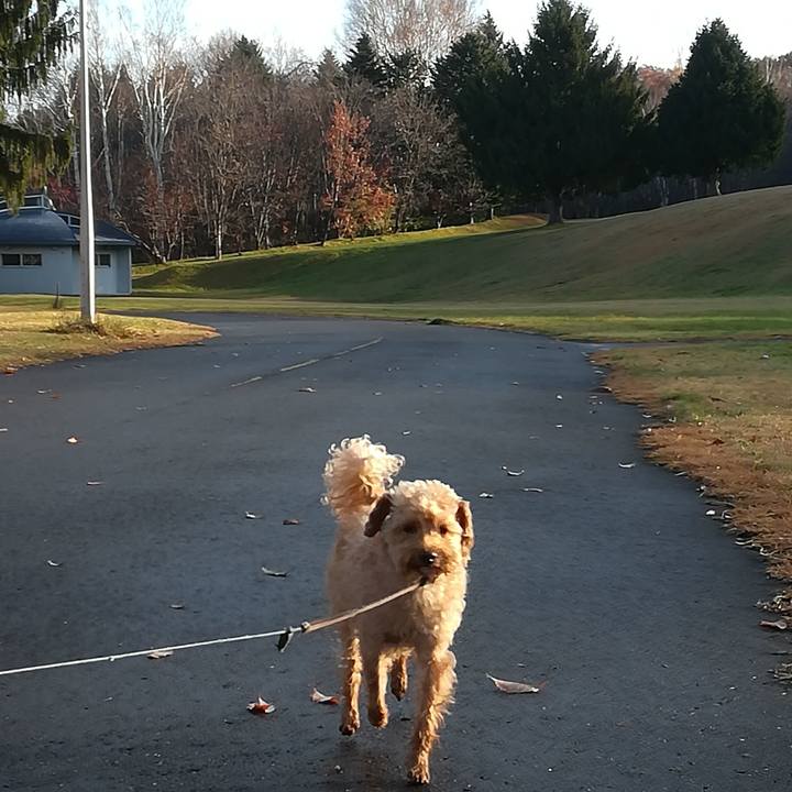 30c4b12b 6eac 469d abc9 12c1ce9a1d3d 1541890511247