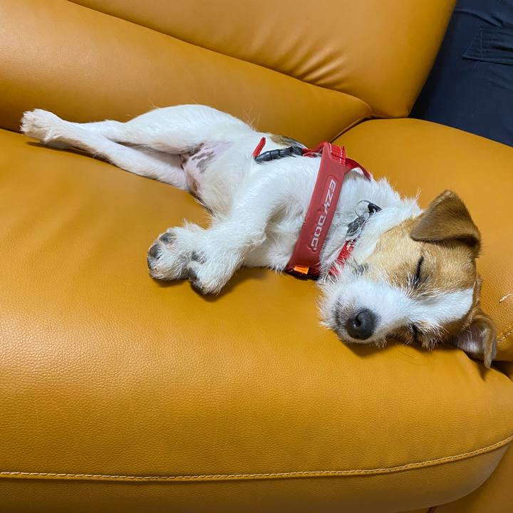 30c4befb e8e0 4edd b7b3 f196f3581703 1623937935145