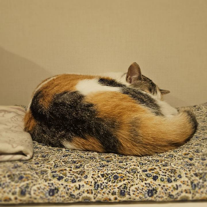 30c4c597 1c2c 484d b6e6 aec92ad58bde 1758518017994