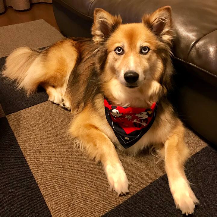 30c4d697 cd97 4174 8aeb b3226eb75f38 1530527520848