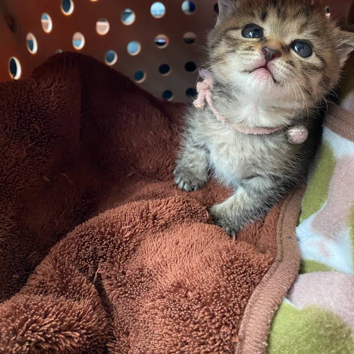 30c4f274 991f 475a b369 bffeacf940ec 1636183574614