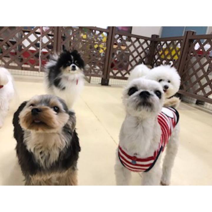 30c50007 f6be 47ca 93ca 92ff29e71d5e 1544781736054