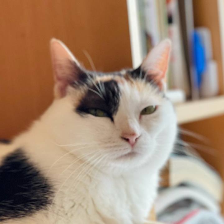 30c527da 1f78 4398 b41b 36a61fd88d0f 1659404305926