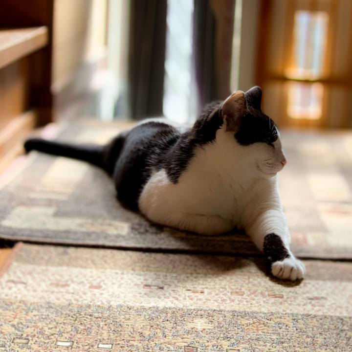 30c56a42 261c 4479 8e43 3481fa40fa3c 1594952644916