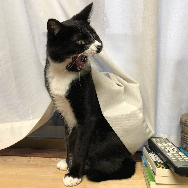 30c58296 edc9 4e83 8790 7460b34df530 1541304792158