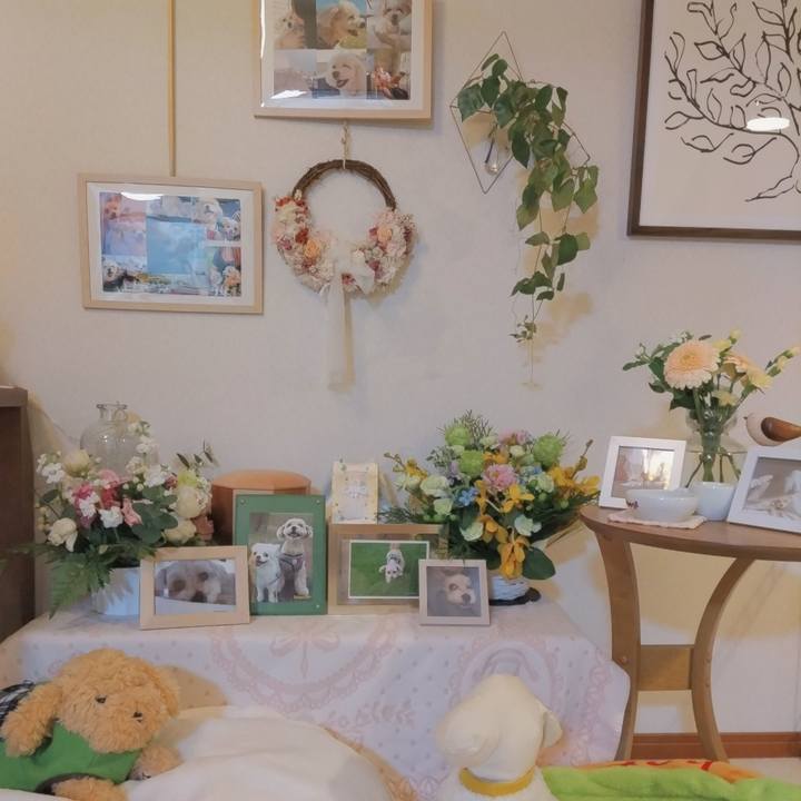 30c5ba96 e1d0 4a67 bb1b f04d78fb185a 1733051106041