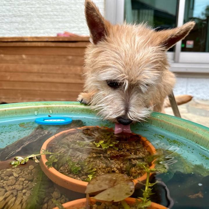 30c5cbf3 843e 4532 92f0 f8c40c7d1a17 1708232217073