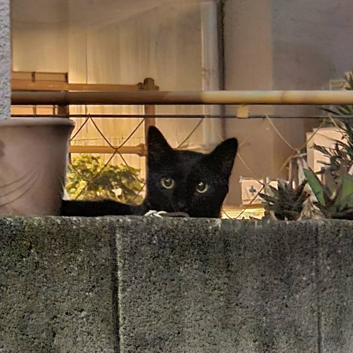 30c5ce47 1cea 4813 b18d 2cd8bd1524b9 1720029153210