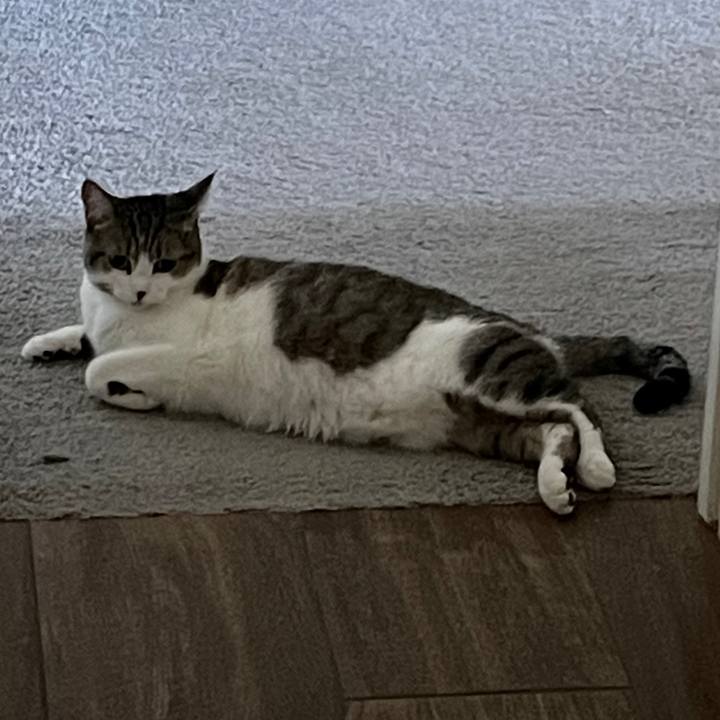 30c612e7 99a7 46a5 bdf8 7c140062b6ee 1743911433962