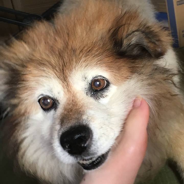 30c61596 15ab 4f82 b66f d7f3f6a74408 1614160267993