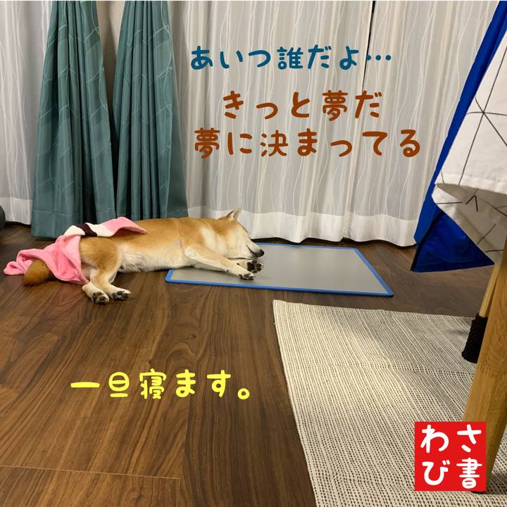 30c661b5 ddf2 4845 90dc d107326bce70 1615694946273