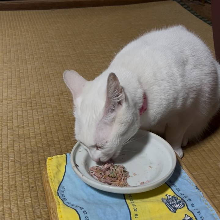 30c69236 1a13 49da a378 c5fd20d1320c 1769258644576