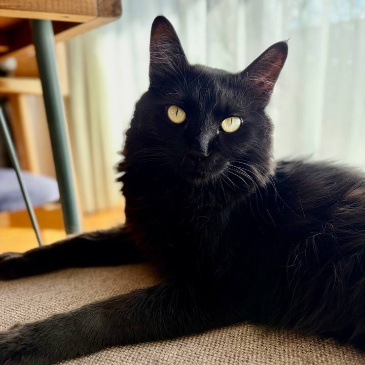 30c6c9eb 3951 44ce b8ba 625f7d80625c 1773313926658