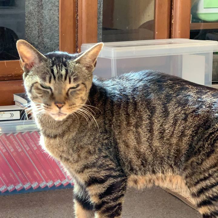 30c6d9a3 6290 42be b12e c8e7101d3577 1583542913446