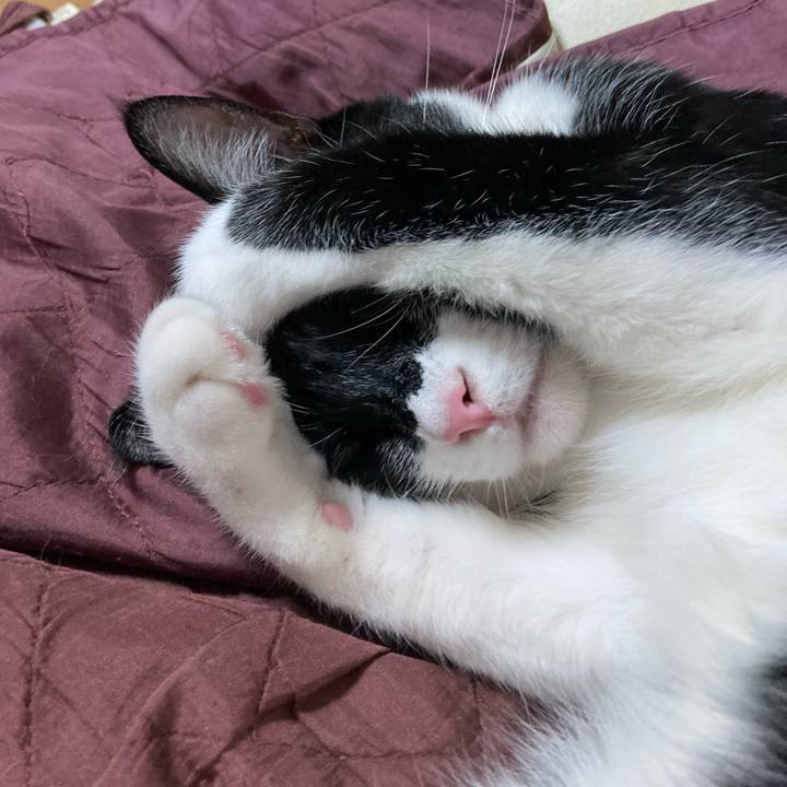 30c6f8b7 d184 420c 9c3d 106434d6a63b 1622559603242