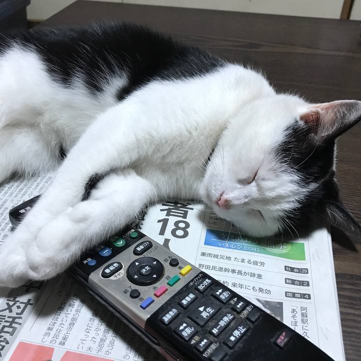 30c73856 6e05 4019 b62c 0495dc2365ae 1513314387232