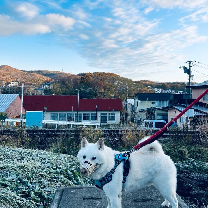 30c75757 1a94 483a 8a61 1525310dab3a 1731451159930