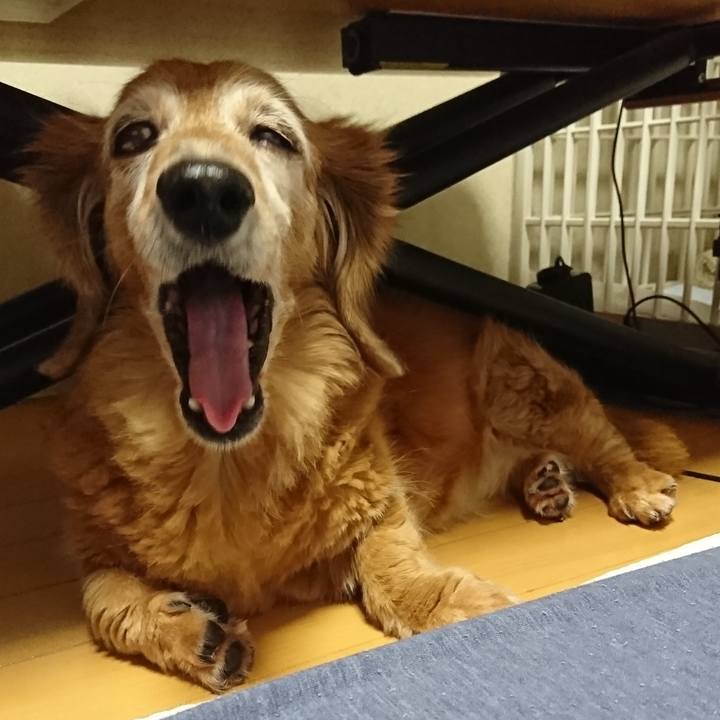 30c84862 1897 4759 90a0 fcbe736198d2 1613480974495