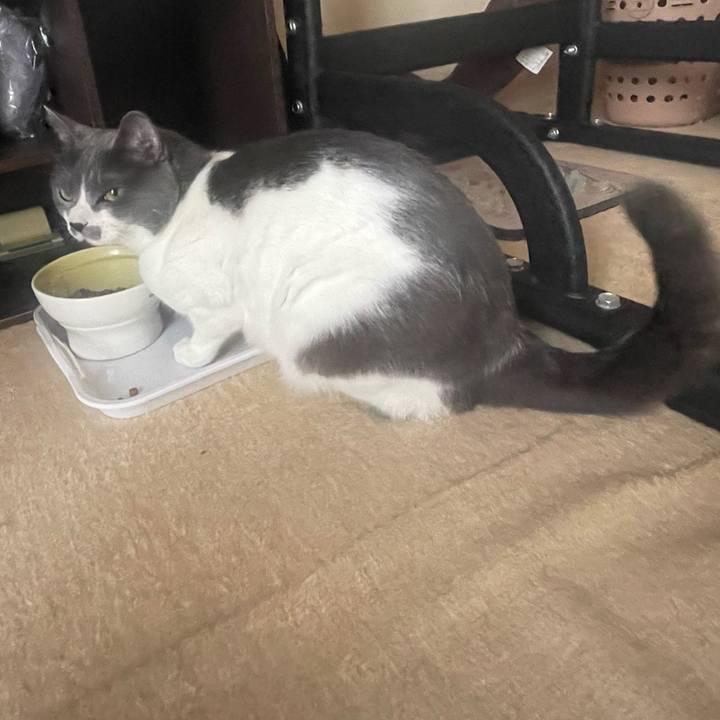 30c8735c 18f4 4fe8 9c13 1542583c7679 1653960725830