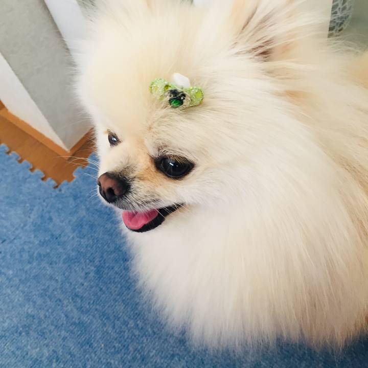 30c87cab 2c59 43d5 a299 7e57211896d6 1557375514331