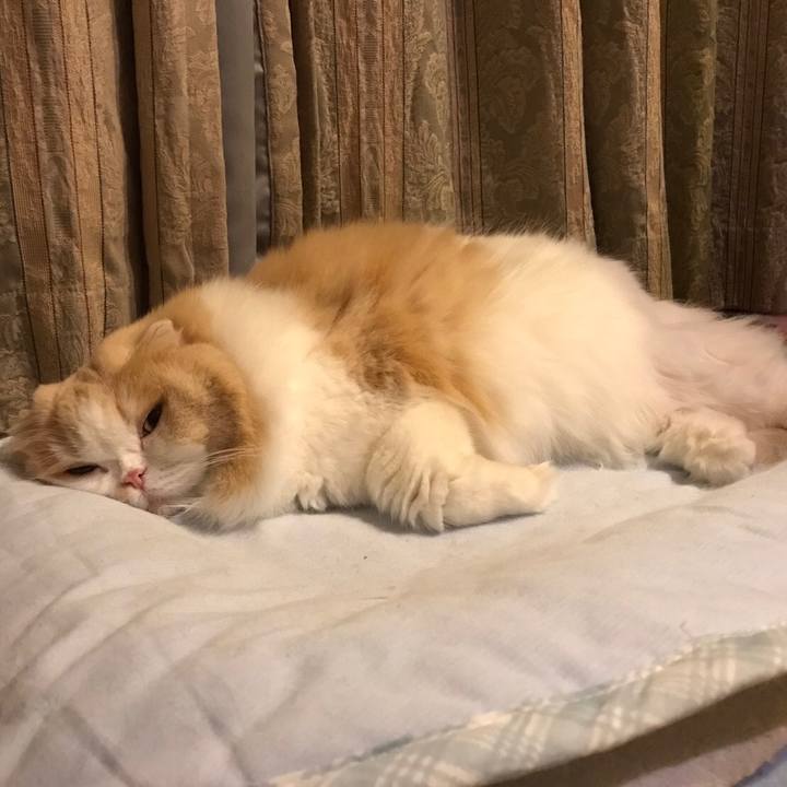 30c892e6 ac54 45e5 92f1 bd800d3381c0 1541372139198