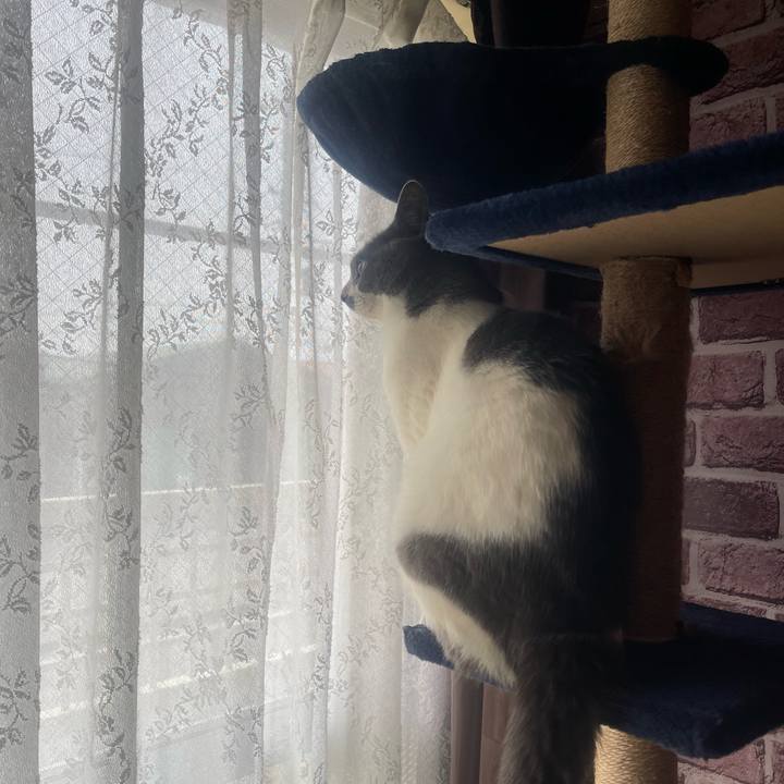 30c8b8f1 e790 4e2f b0df 4a61ea1899a3 1742780426773